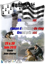 finale ring 2013