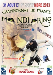 inale mondio 2013