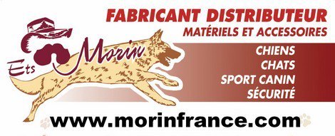 morin