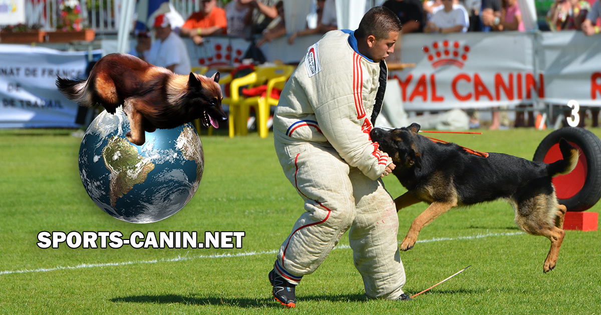 (c) Sports-canins.net
