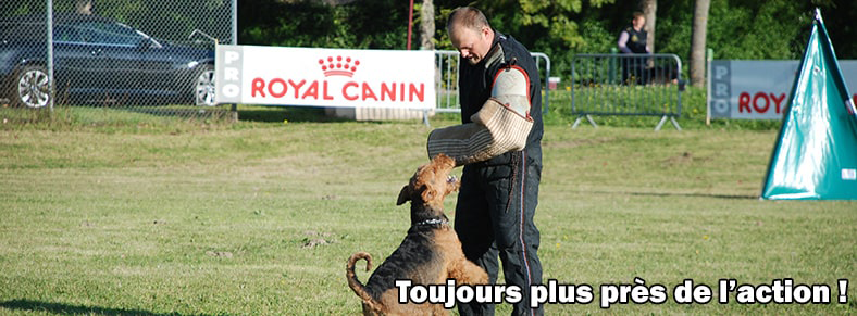 banniere