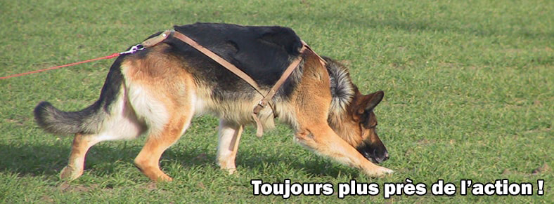 banniere