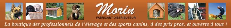 morin